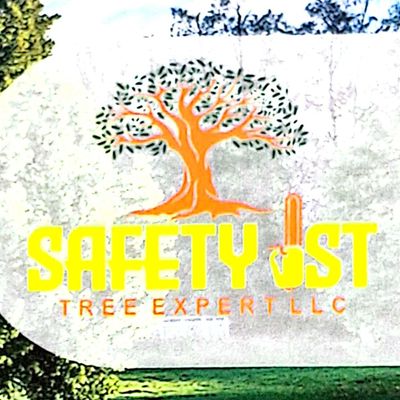 Avatar for Safety First Tree Expert