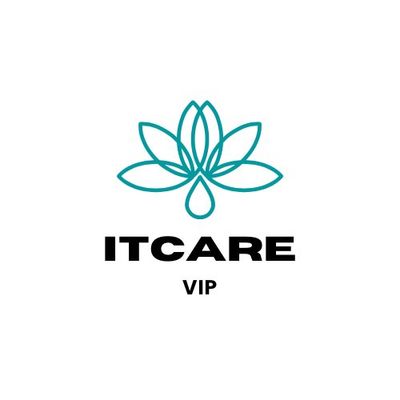 Avatar for IT CARE VIP LLC