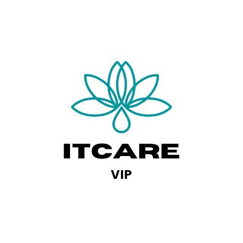 IT CARE VIP LLC