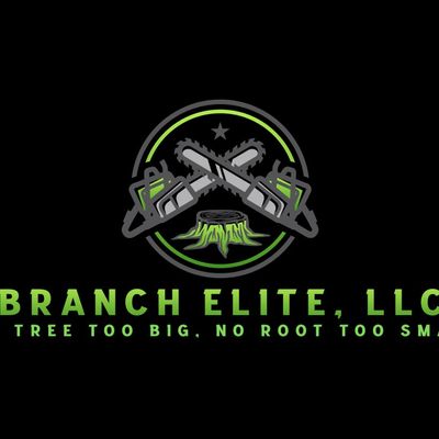 Avatar for Branch Elite LLC