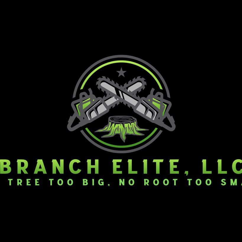 Branch Elite LLC