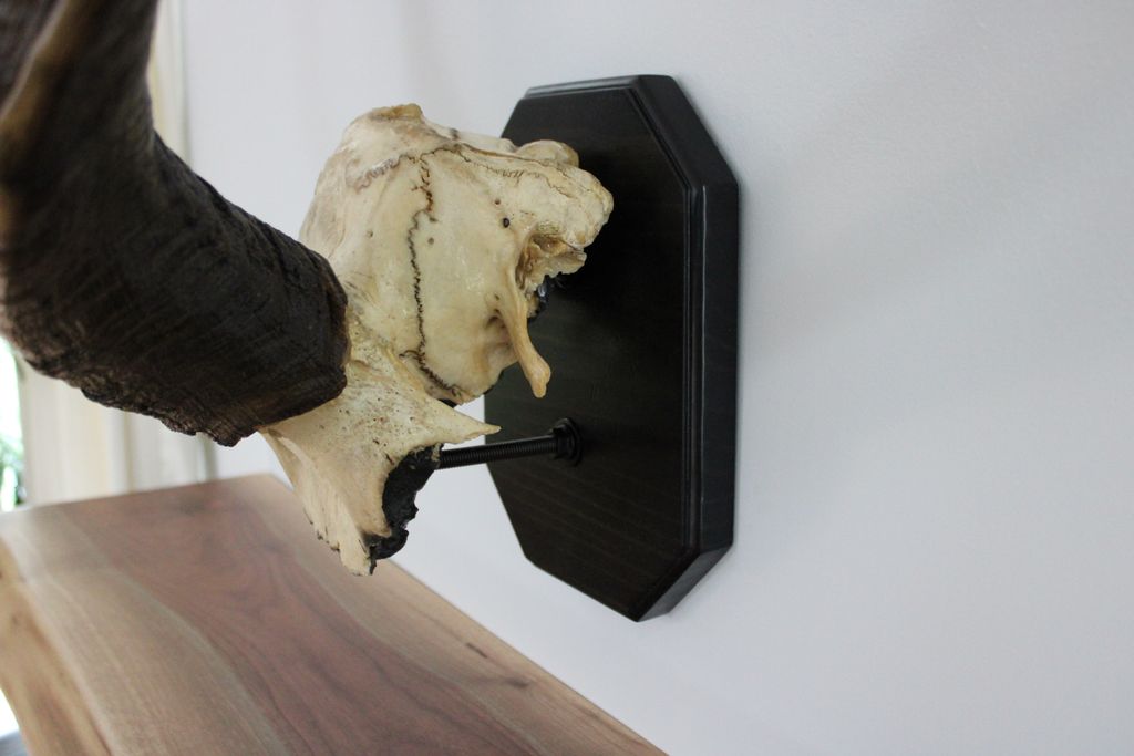 Kudu skull mount and walnut mantle