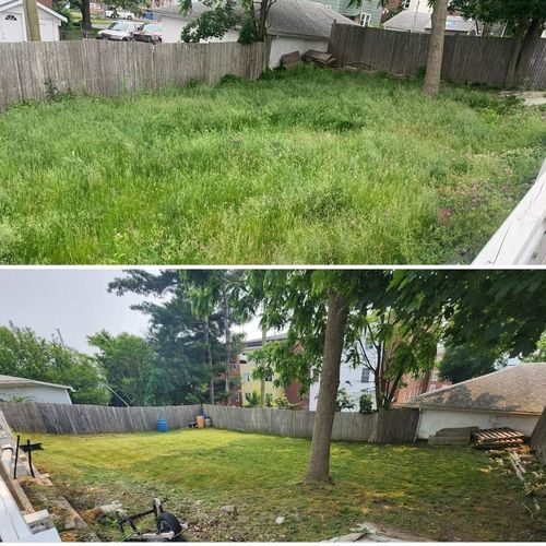 Lawn Mowing and Trimming