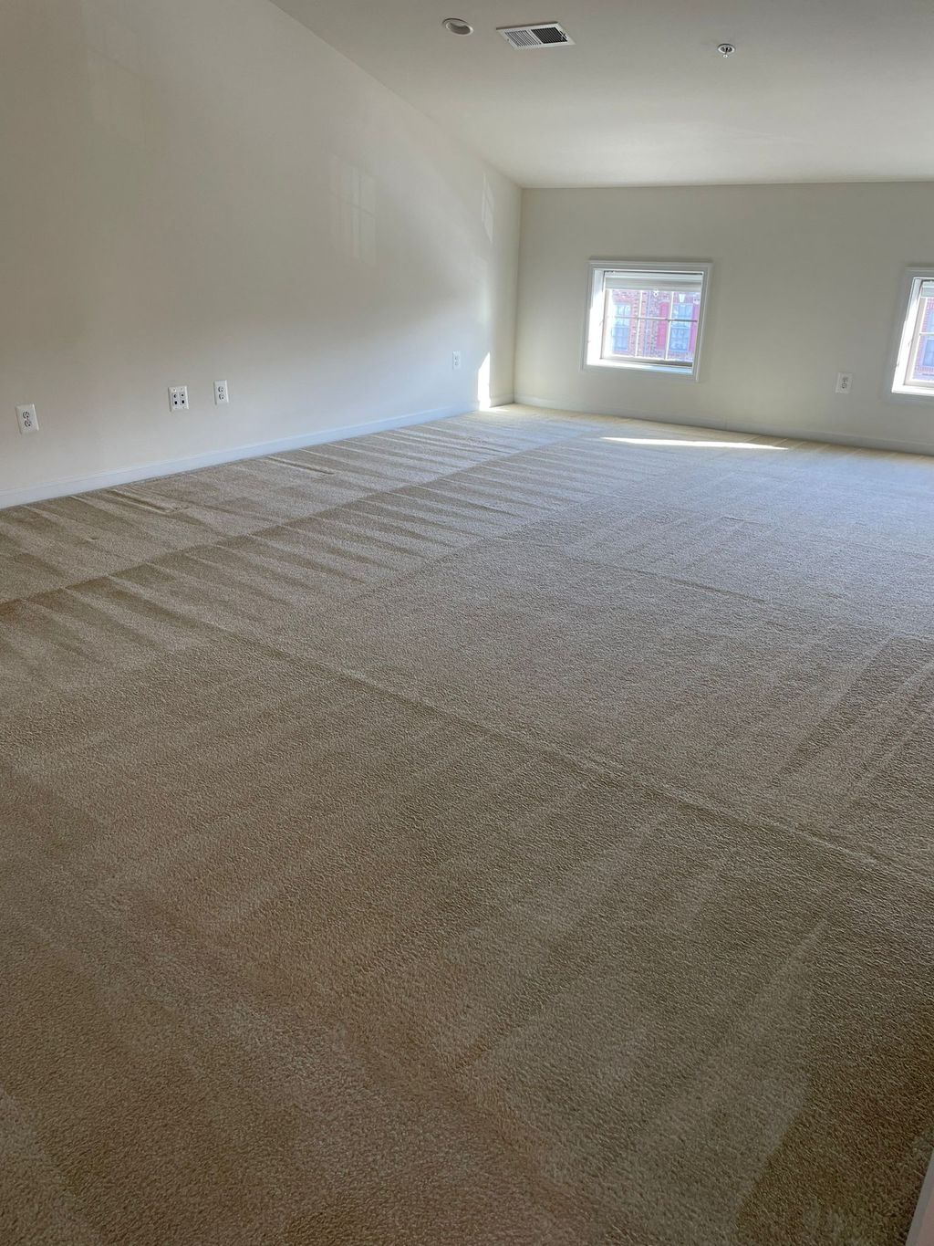 Carpet Cleaning