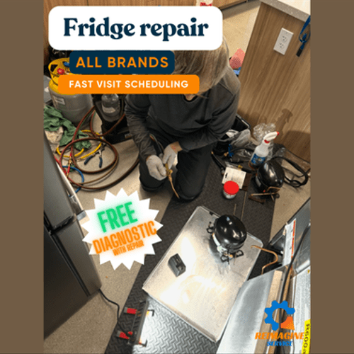 Appliance Repair or Maintenance