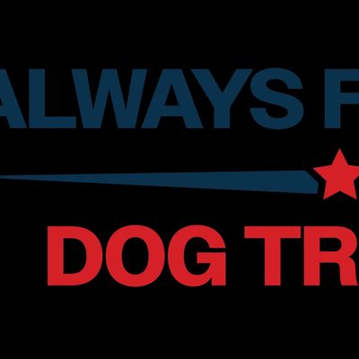 Avatar for Always Faithful Dog Training of San Antonio