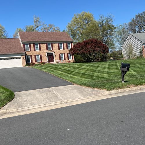 Full Service Lawn Care