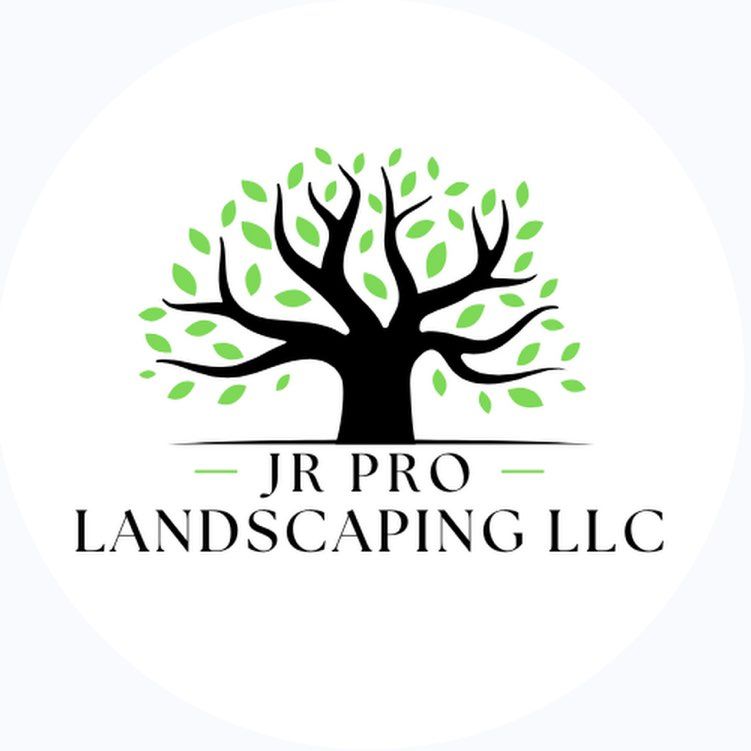 JR PRO LANDSCAPING LLC