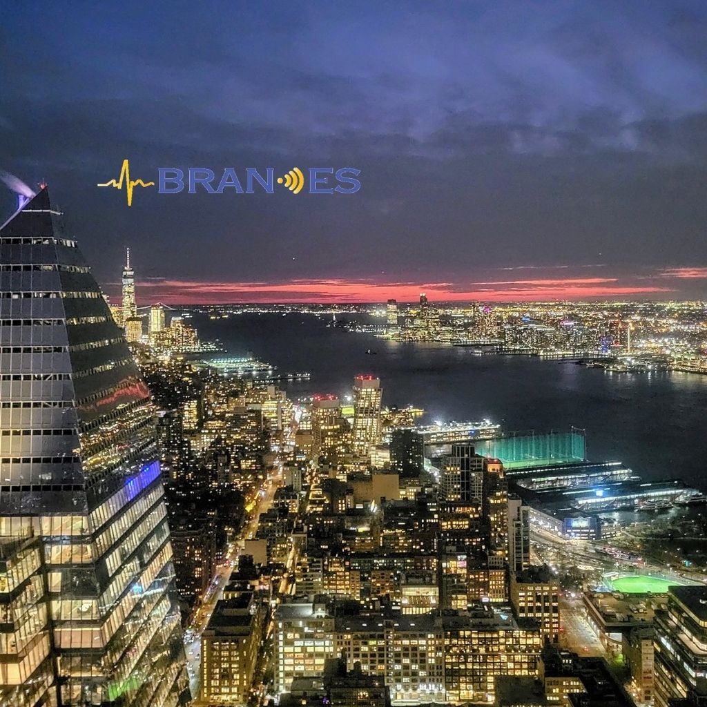 Brandes Wellness, LLC