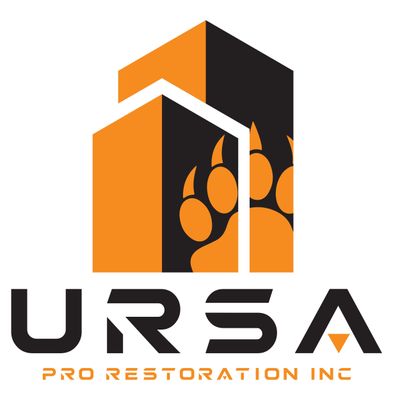 Avatar for Ursa Pro Handyman