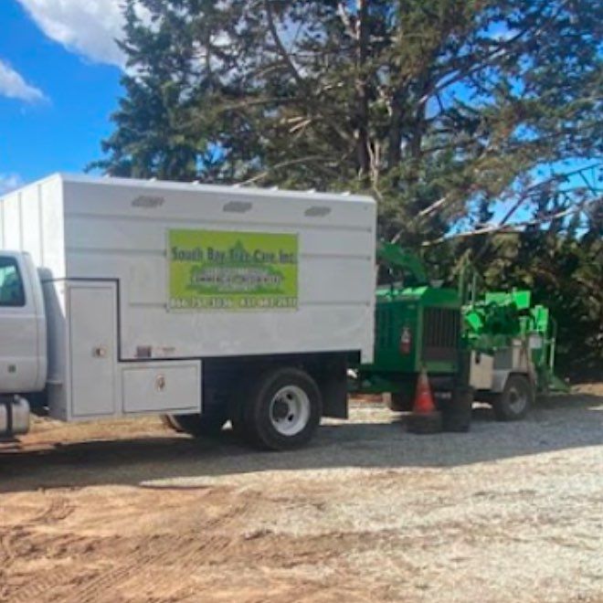 South Bay Tree Care Inc.