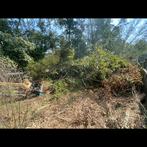 Land Clearing