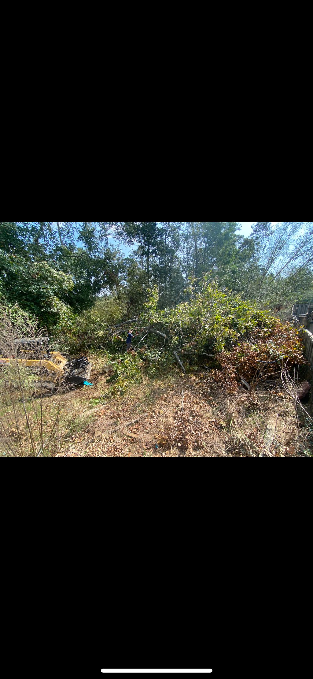 Land Clearing