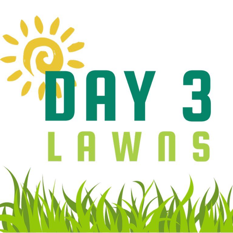 Day 3 Lawns