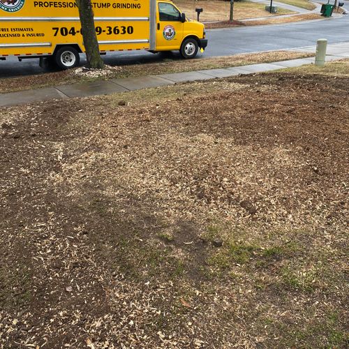 Tree Stump Grinding and Removal