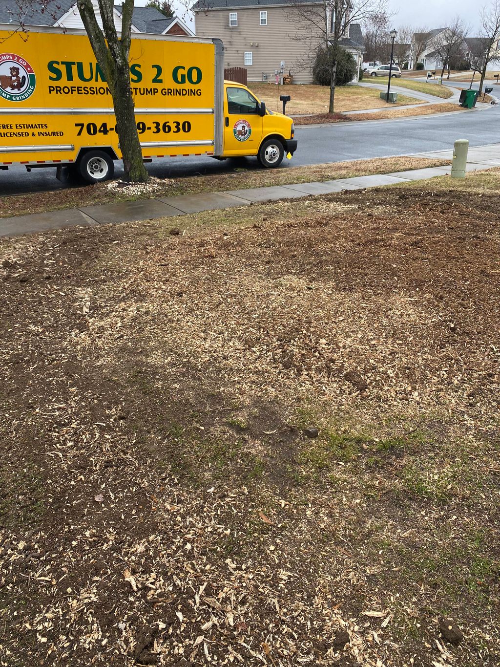 Tree Stump Grinding and Removal