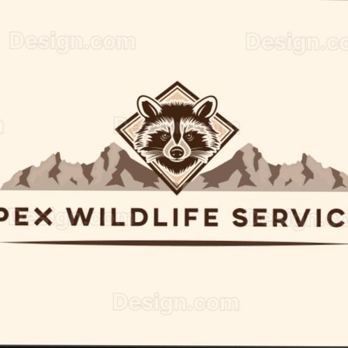 Apex Wildlife Services