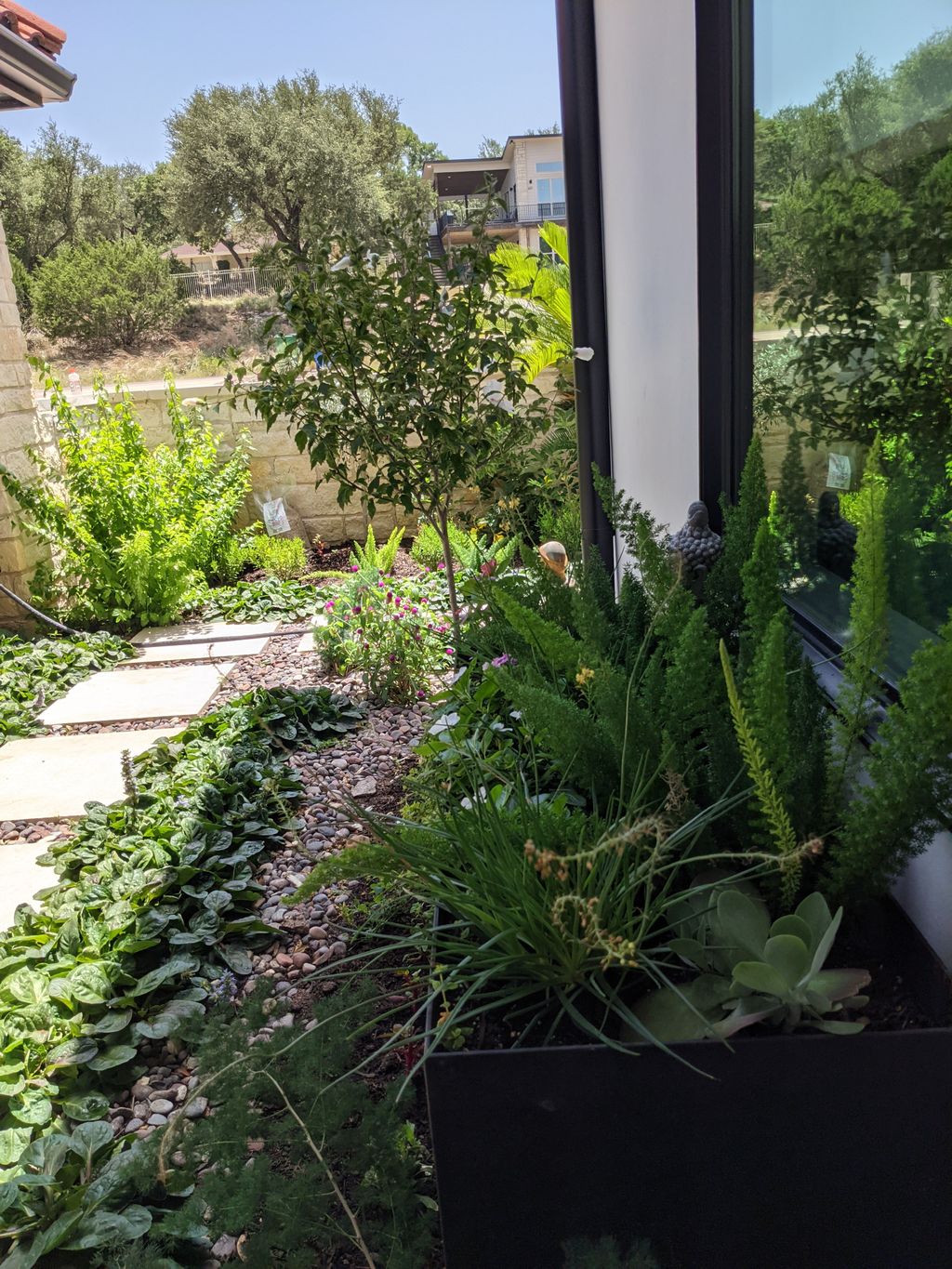 Garden courtyard