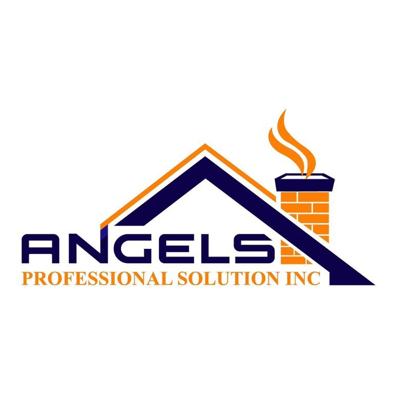 Angels professional solution inc