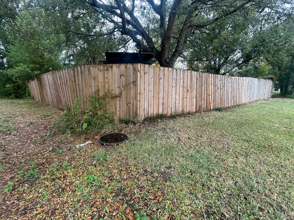 Fence Painting