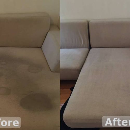 Upholstery and Furniture Cleaning