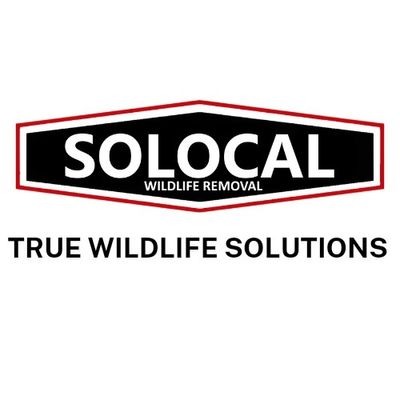 Avatar for Solocal Wildlife Removal