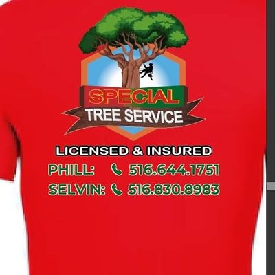 Avatar for Special Tree Service