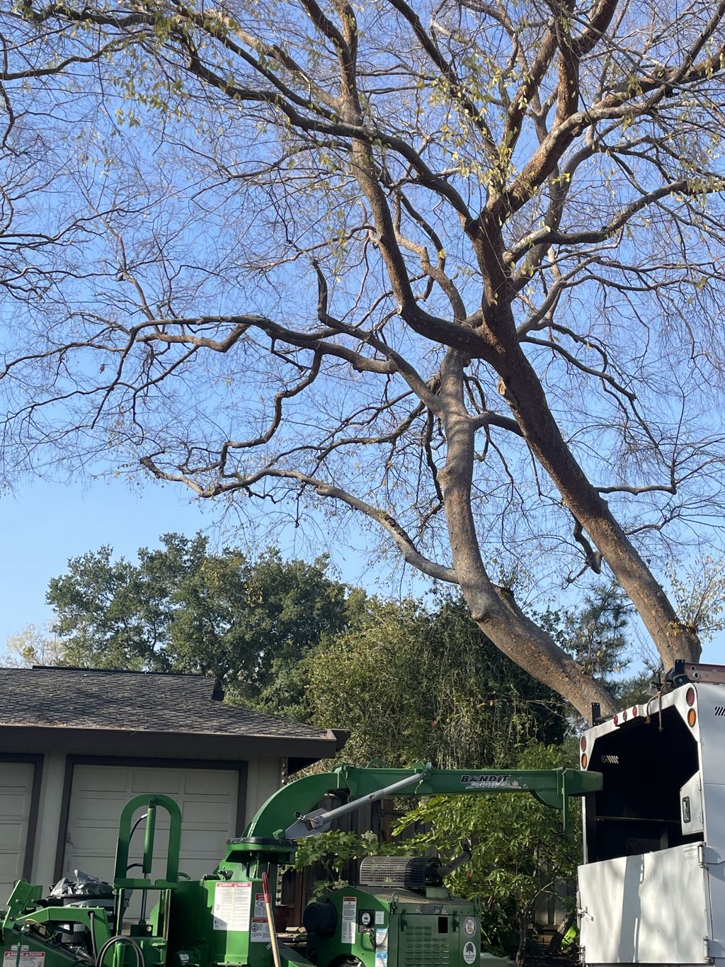 Uplifting and pruning out over Street