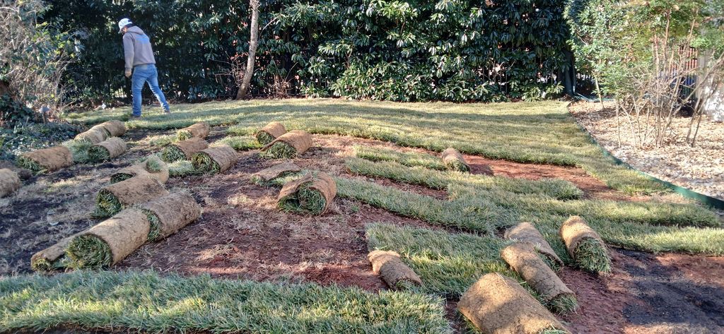 new sod installation 