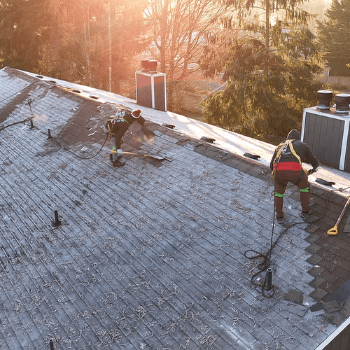 Roof Installation or Replacement