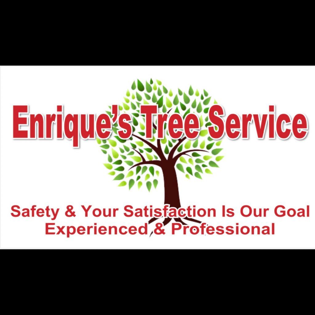 Enrique’stree&lawn service