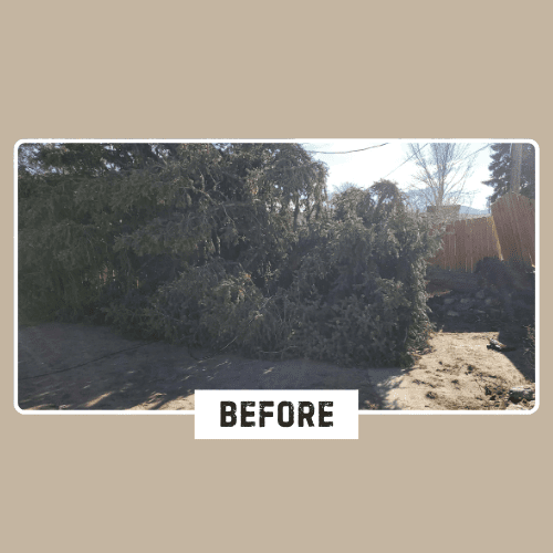 Fence and Gate Installation