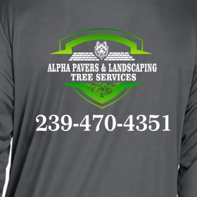 Avatar for Alpha Pavers & Landscaping