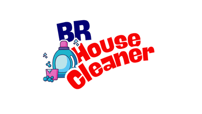 Avatar for BR House Cleaner