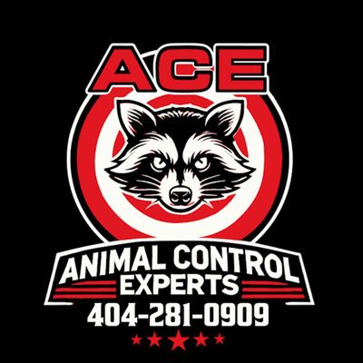 Avatar for Ace Wildlife Service