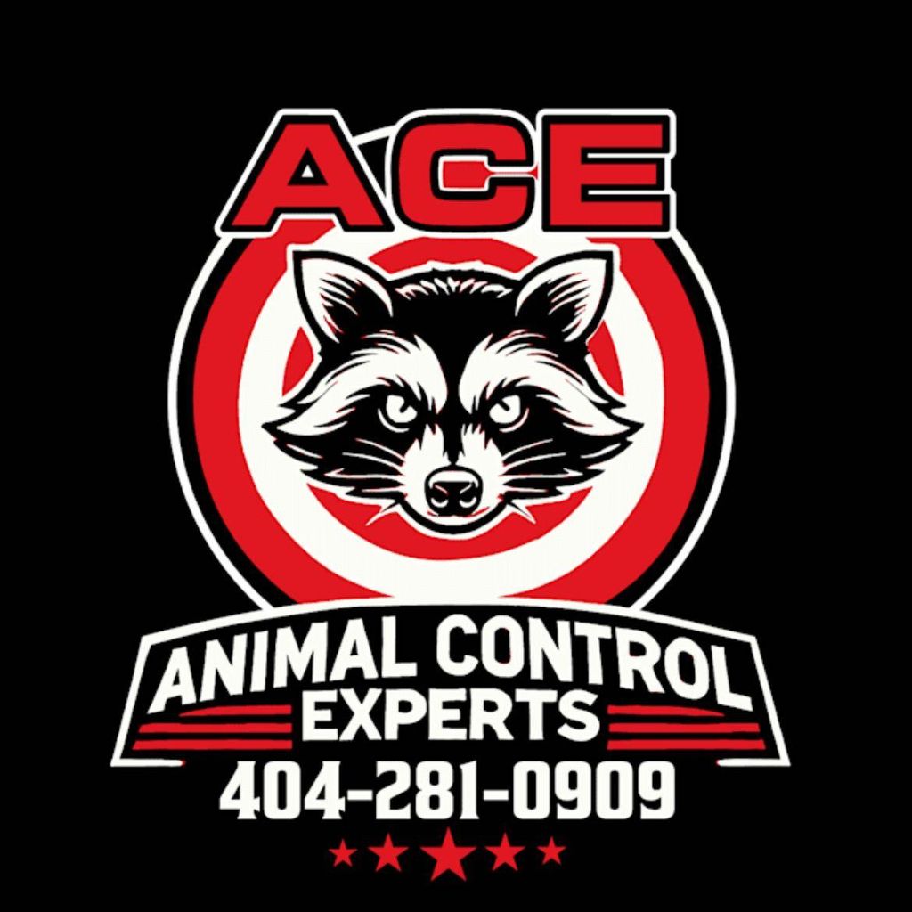 Ace Wildlife Service