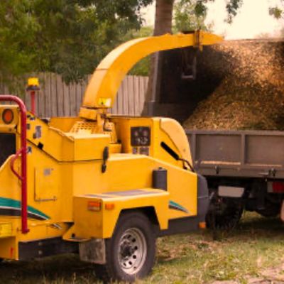 Avatar for Premier forestry experts