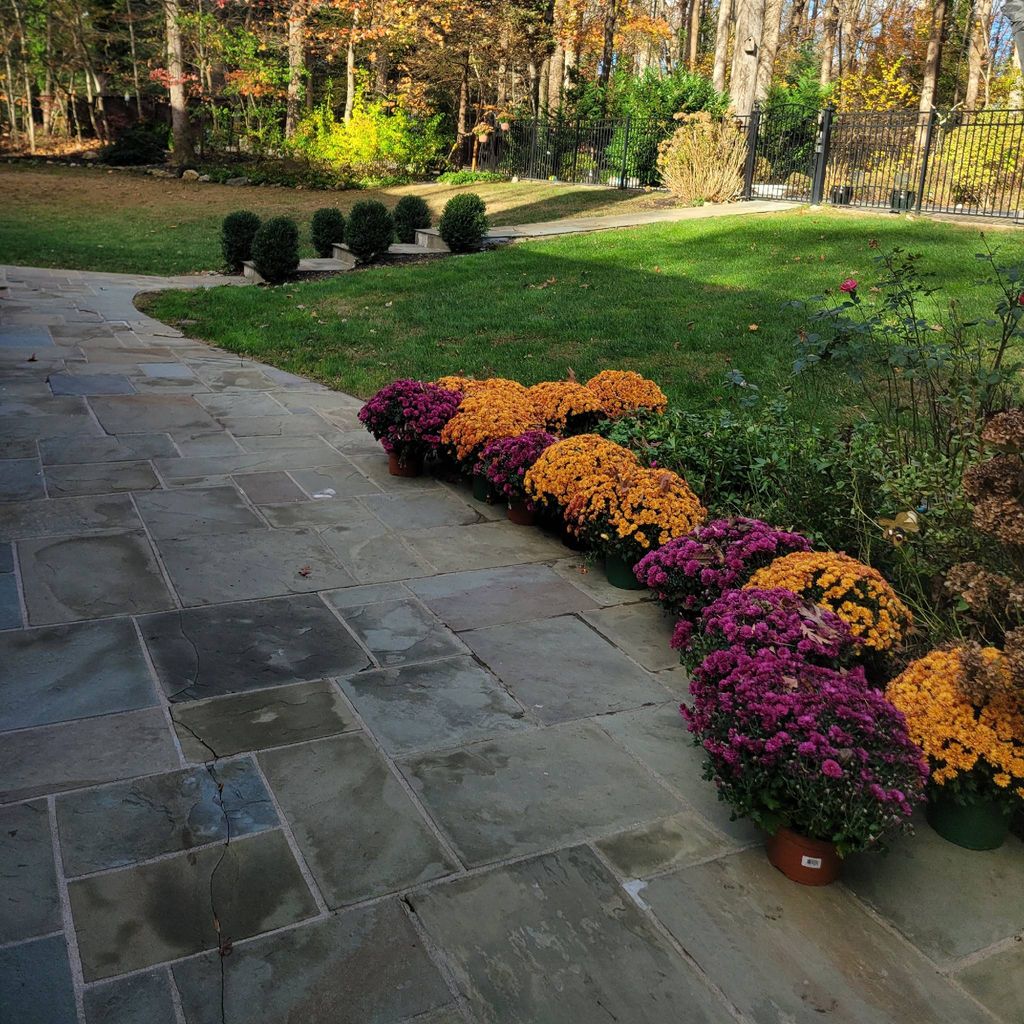 Anthony landscapim