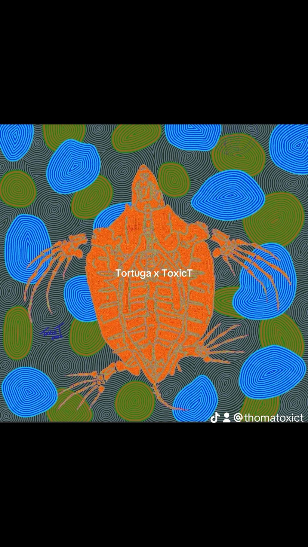 Tortuga