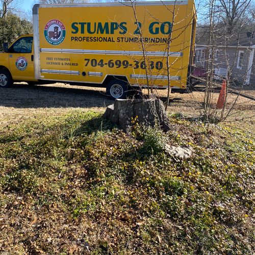 Tree Stump Grinding and Removal