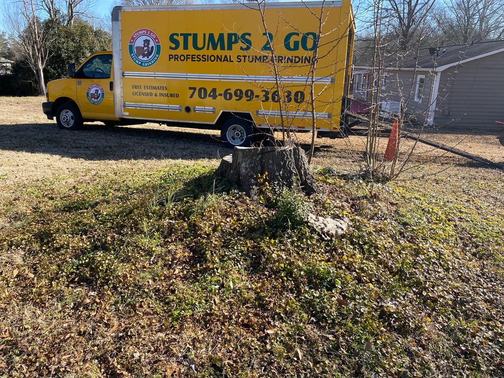 Tree Stump Grinding and Removal