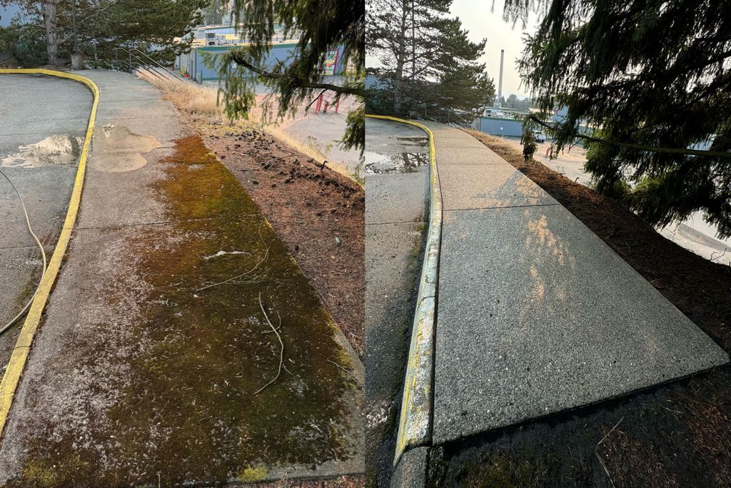 Pressure Washing before and after