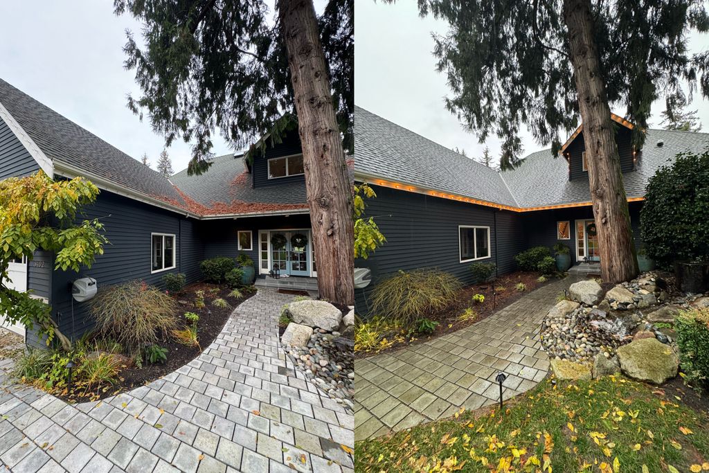 Roof blowing and applied moss treatment  before an