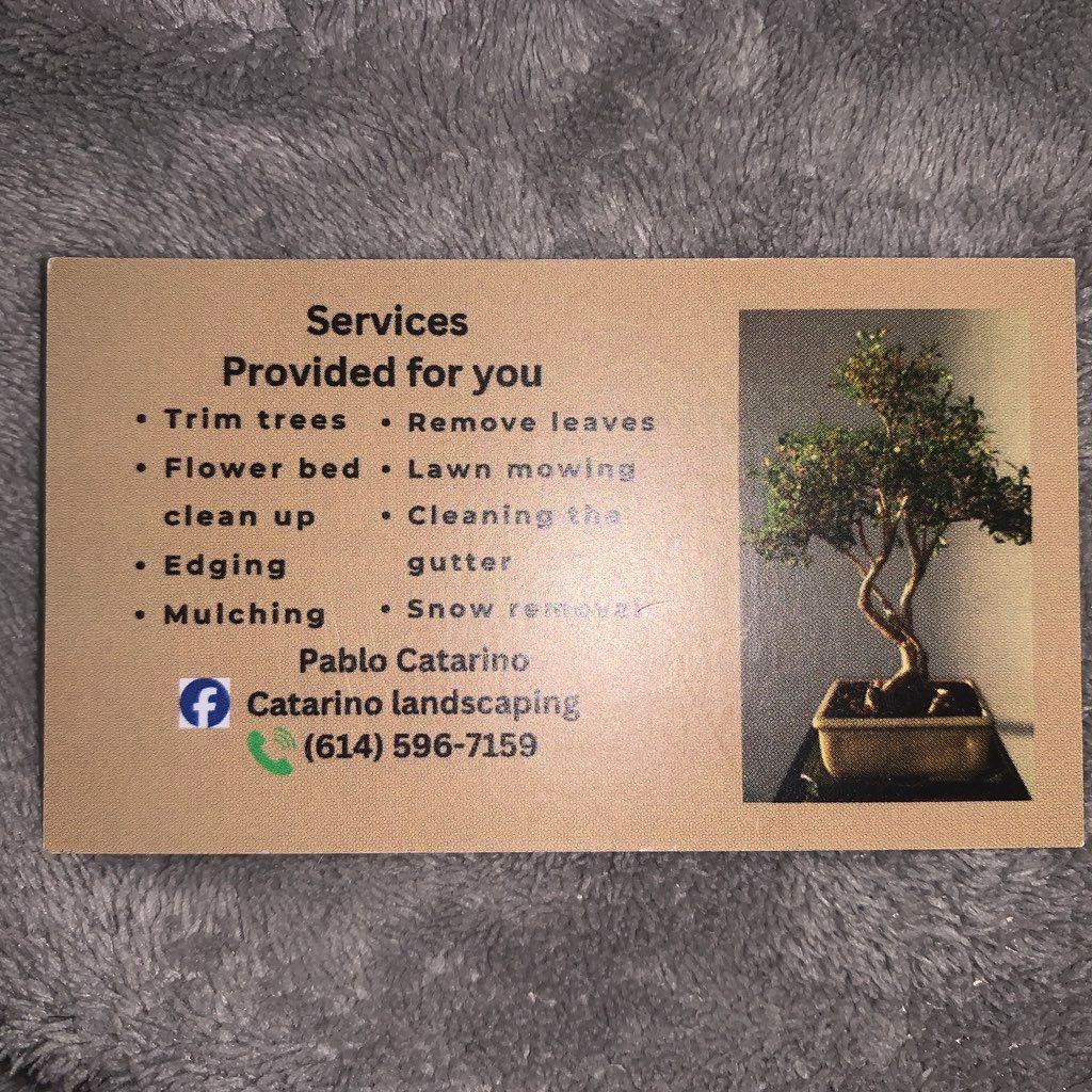 Catarino landscaping