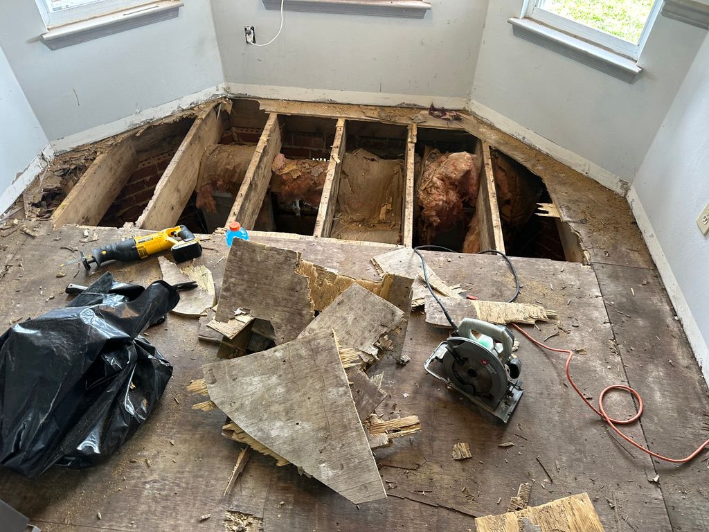 Projects and media