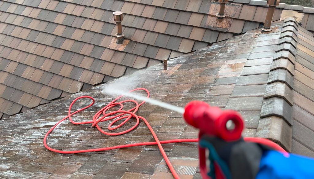 Roof Cleaning