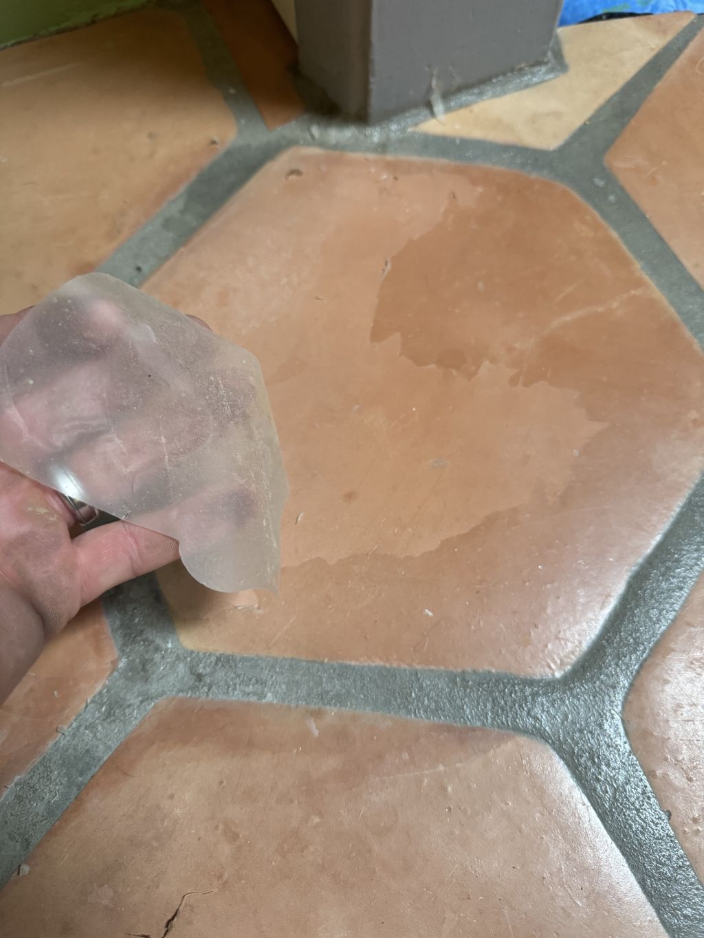 Floor Cleaning