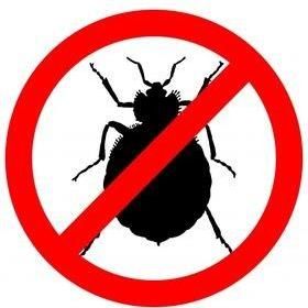 Avatar for Buckeye Bed Bugs Plus