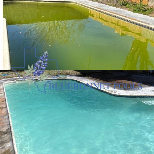 Swimming Pool Cleaning, Maintenance, and Inspection