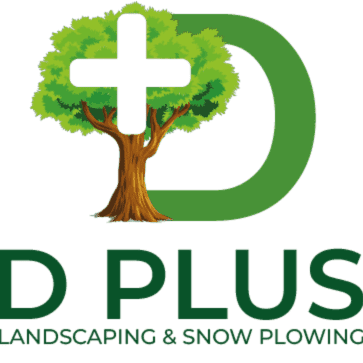 Avatar for D Plus Landscaping & Snow Plowing